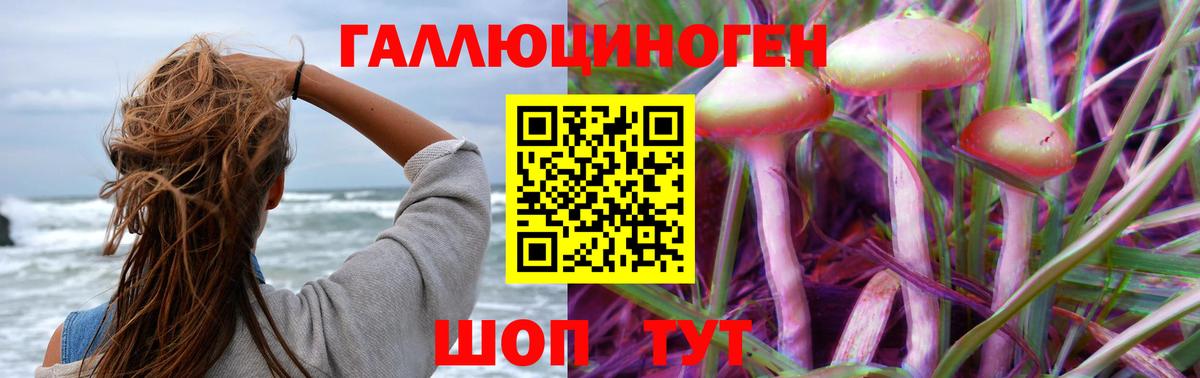 Галлюциногенные грибы Magic Shrooms  Псилоцибиновые грибы прущие грибы  Амурск  Вход с VPN 